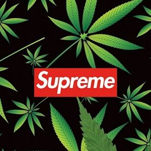 Meet your Posher, Nigel